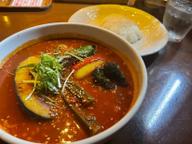 ベジタブルスープカリー 100ボーガ