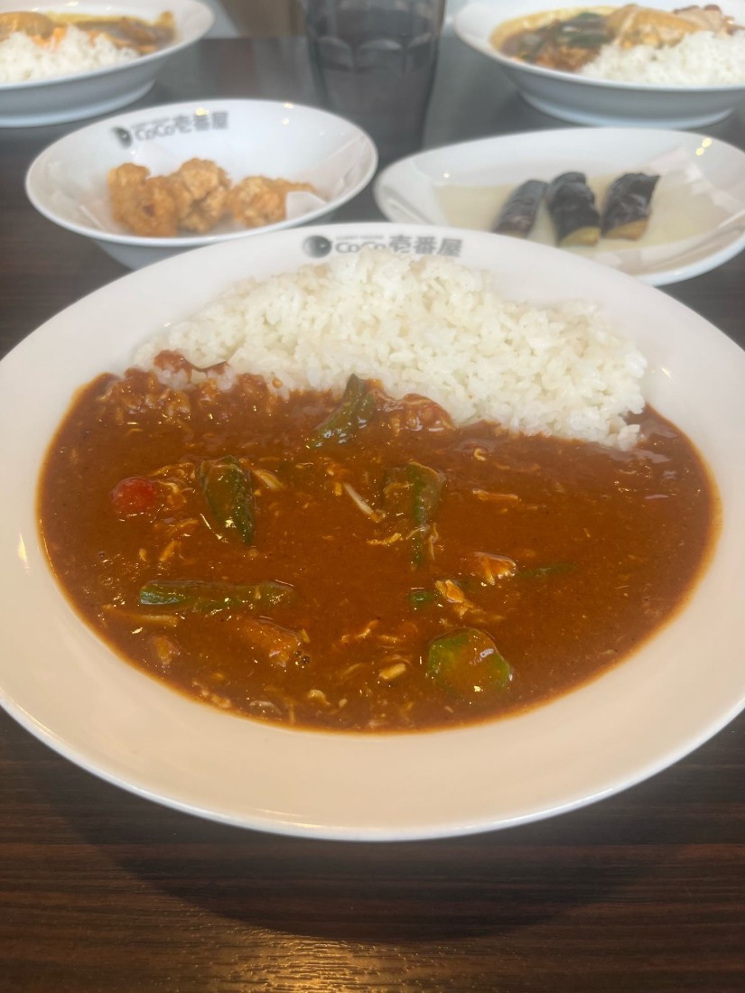 チキンと夏野菜カレー 10辛