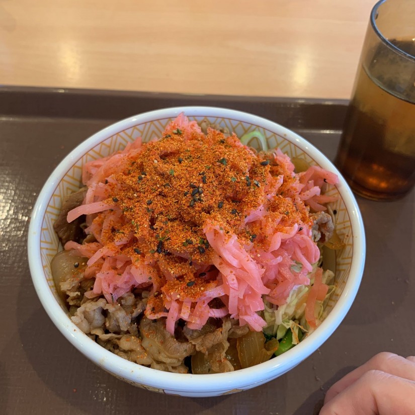 牛丼ライト