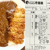手仕込豚ヒレカツカレー 20辛