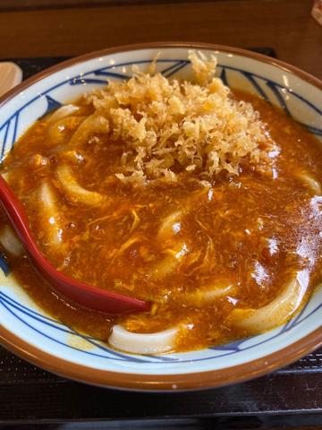 トマたまカレーうどん