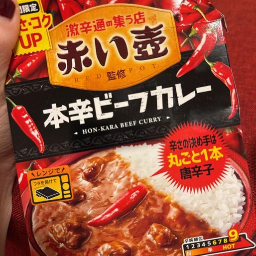 赤い壺本辛ビーフカレー 9辛