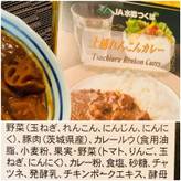 土浦れんこんカレー 中辛