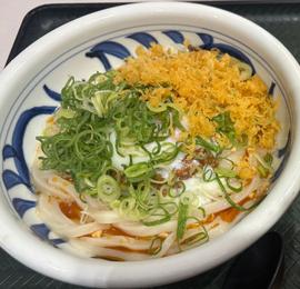 温玉坦々うどん