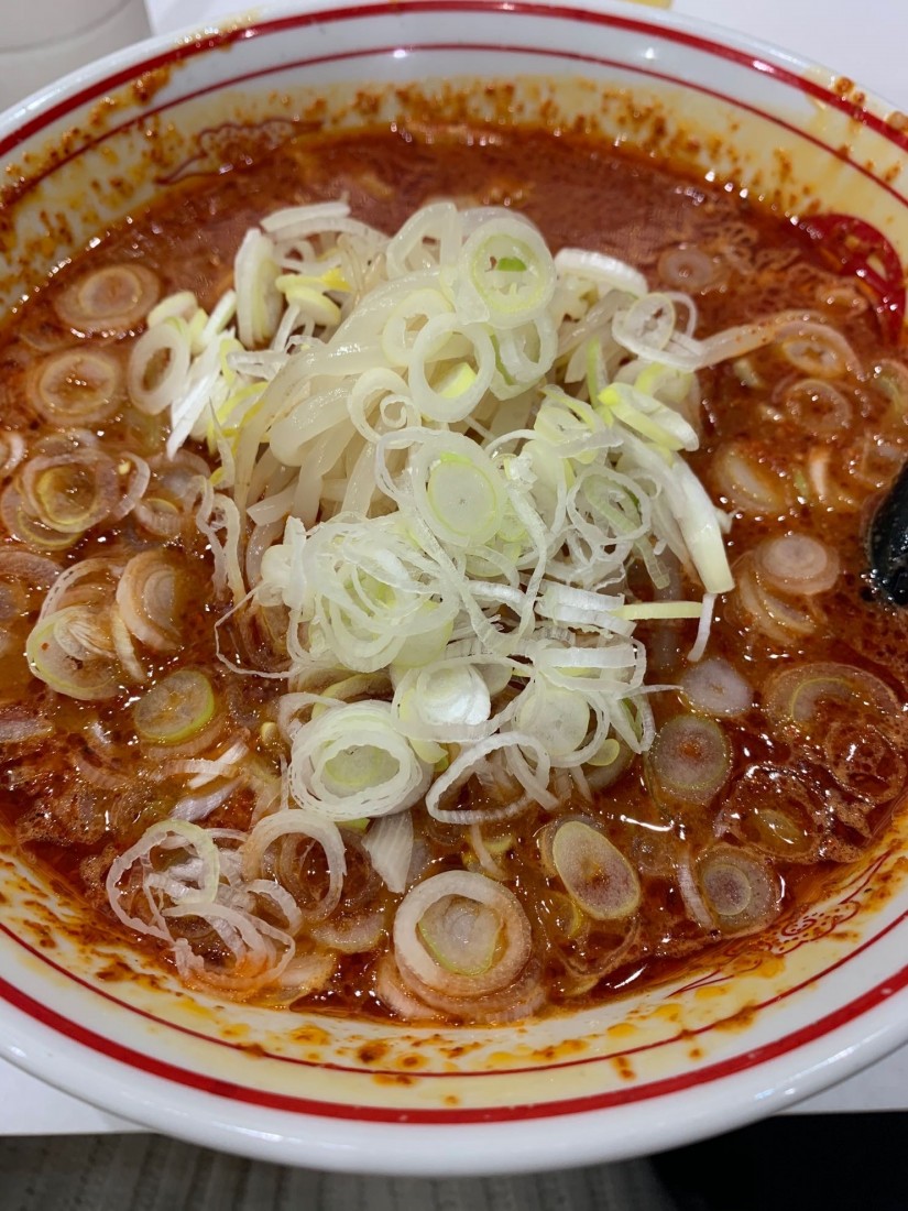 北極 3倍 麺・油少なめネギトッピング