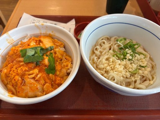 辛旨赤の親子丼