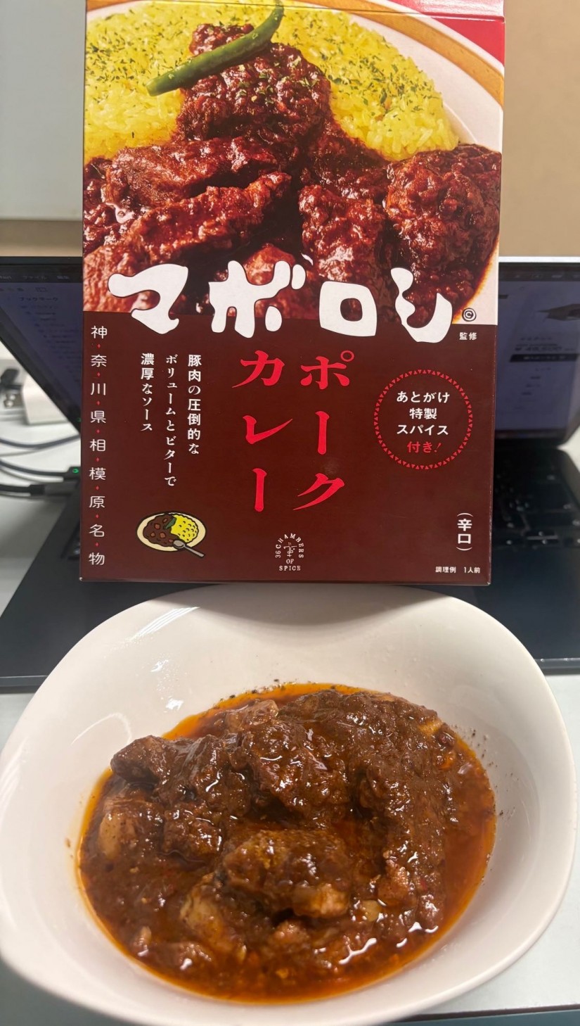 マボロシポークカレー 辛口