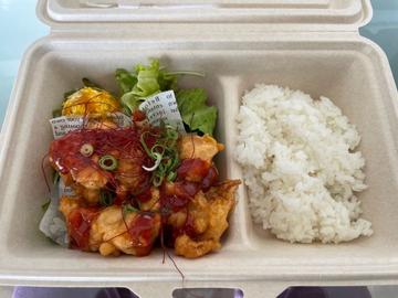 選べるからあげ弁当(ヤンニョムチキン風)