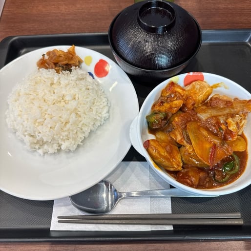 デビルチキン定食