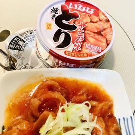 焼きとり ヤンニャム味