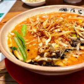 辛ネギ担々麺