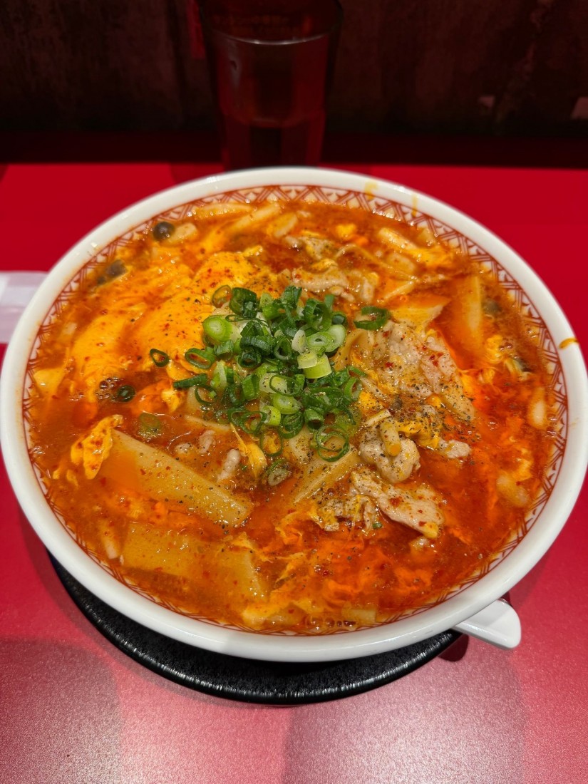 酸辣辛麺 大辛