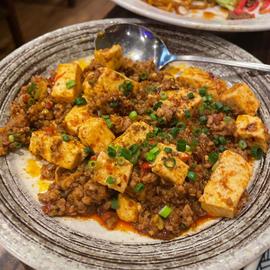 麻婆豆腐 15辛