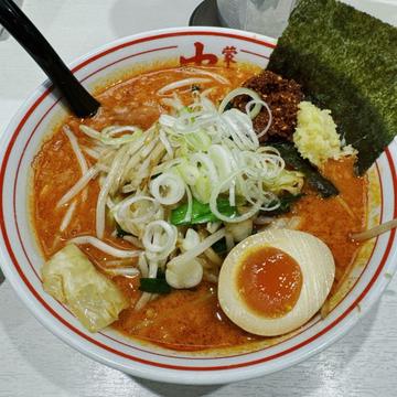 ピナカラーナ 8倍