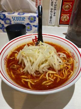 北極 ノーマル