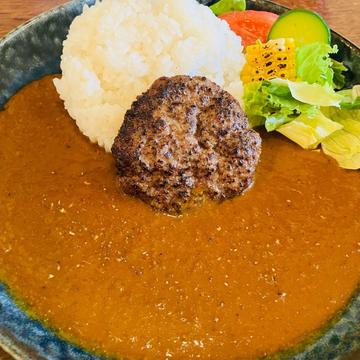 ビストロバーグカレー