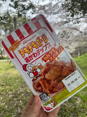 チキチキボーン鶏皮チップス