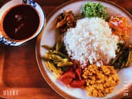 スリランカカレー 2辛