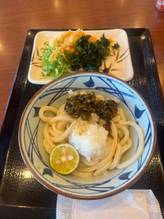 青唐おろし醤油うどん