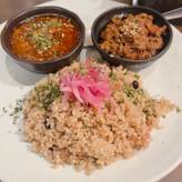 選べる！2種カレー（ポークビンダルー&有機ビーツ・紅芯大根の牛豚合挽キーマ）