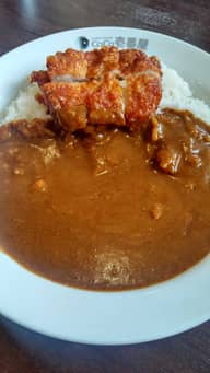 ポークカレーパリパリチキン 10辛