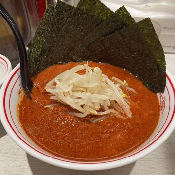 北極 10倍