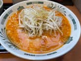 ピリ辛とんこつネギラーメン 2辛