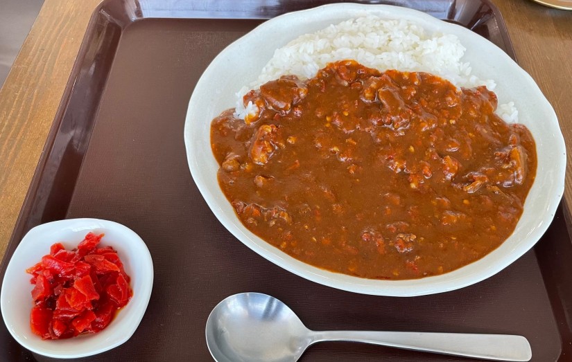 ビーフカレー 10辛