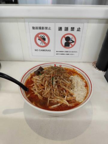 北極の炎 普通