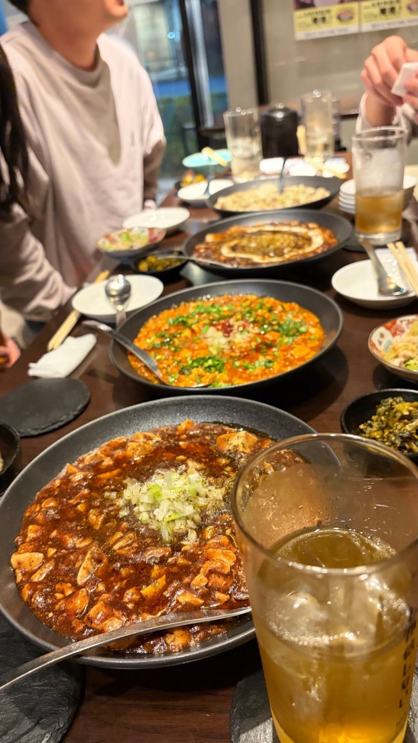 麻婆豆腐しか信じないコース