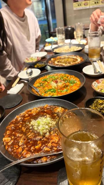 麻婆豆腐しか信じないコース