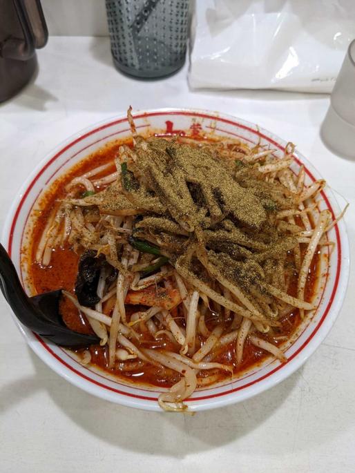 北極の炎 北極2辛