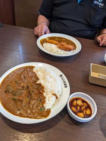 チキンカレーほうれん草トッピング 20辛