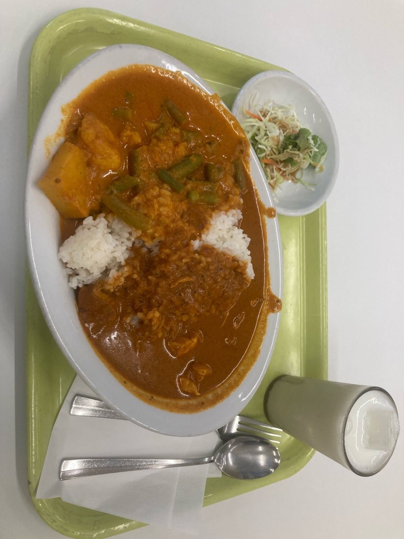 チキンミルチカレー 辛口