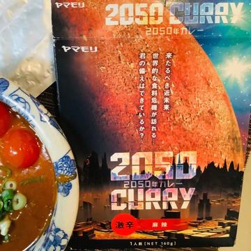 2050カレー 麻辣 激辛