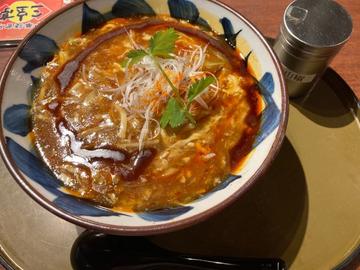 酸辣湯麺 中辛