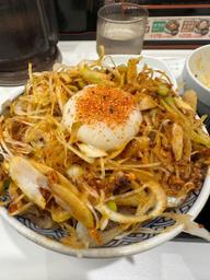 ネギラー油牛丼