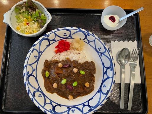 遠州屋ピリ辛野菜カレー