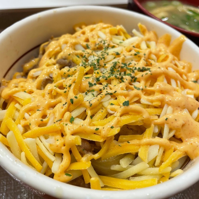 明太マヨチーズ牛丼