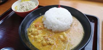 スパイシーチキンカレー