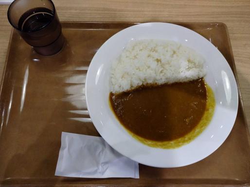 ポークカレー 辛口