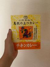 鳥肌の立つカレー