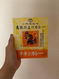 鳥肌の立つカレー