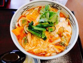 辛味うどん
