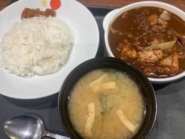 ごろごろ煮込みチキンカレー