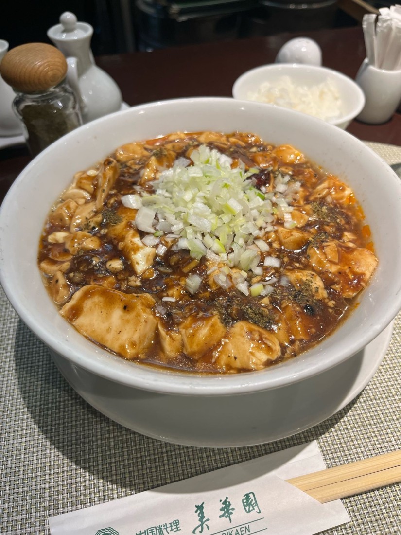 本格四川山椒の陳麻婆麺