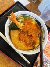 特製大えび天うどん