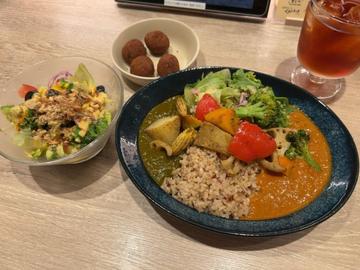 お野菜たっぷり玄米のあいがけカレーセット