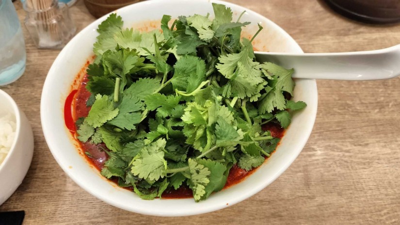 パクチー辛麺 マグマ