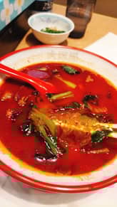 薬膳 麻辣湯 50辛